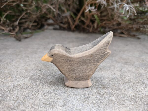 Amsel