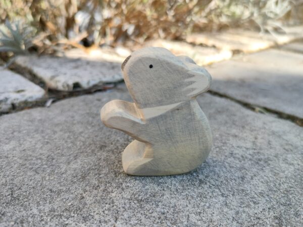 Koala – Bild 4