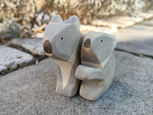 Koala – Bild 2