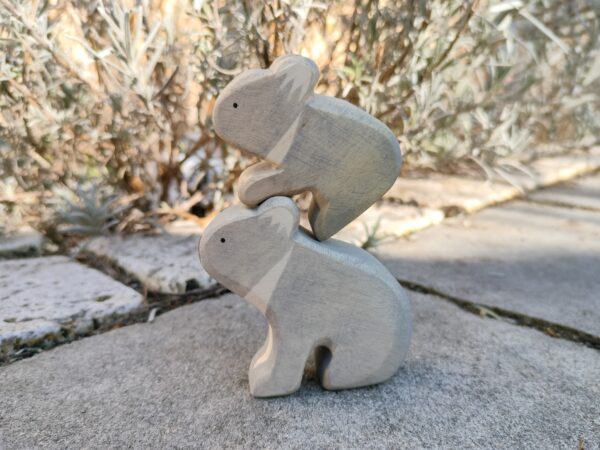 Koala – Bild 5