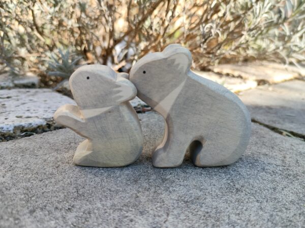 Koala – Bild 6
