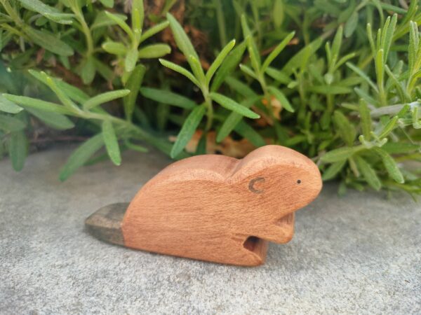 Biber – Bild 3