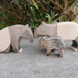 Tapir